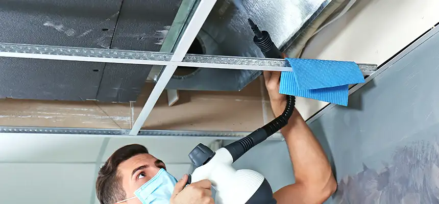 Our Air Duct Rodent Removal Services in Syracuse, UT