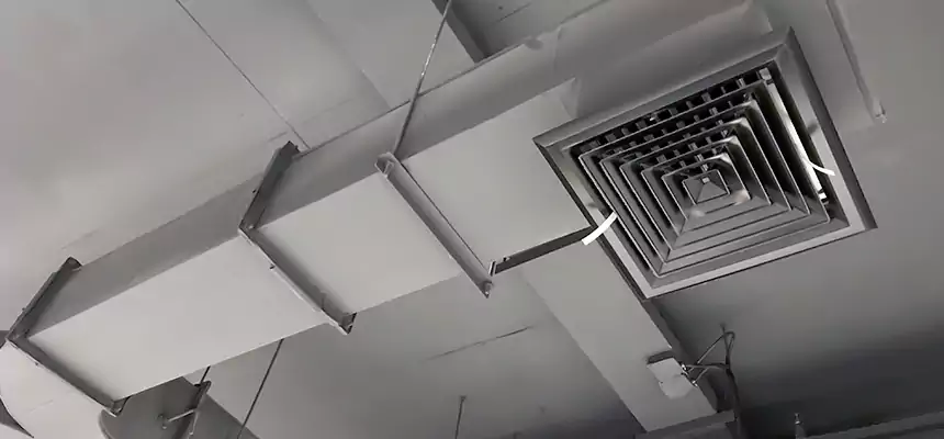 Restorative Allergy Relief Vent Cleaning – Coil, Blower & Housing Detail in Syracuse