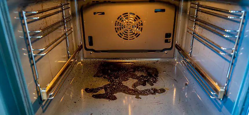 Our Dryer Vent Mold Cleaning Services in Syracuse, UT