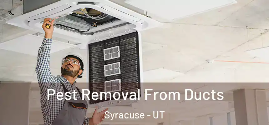 Pest Removal From Ducts Syracuse - UT