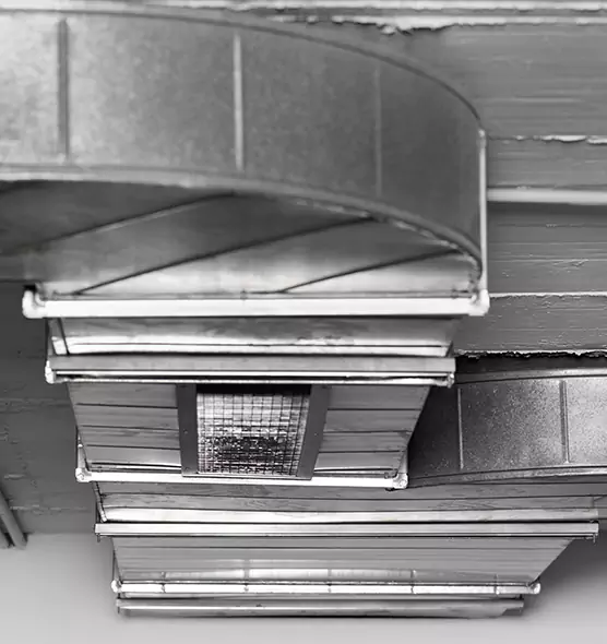 Professional Air Duct Pest Removal in Syracuse, UT