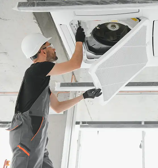 About Air Duct Rodent Removal in Syracuse, UT