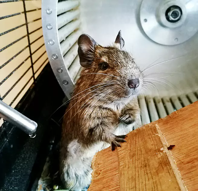 Why Homeowners & Businesses Trust Us Syracuse, UT?